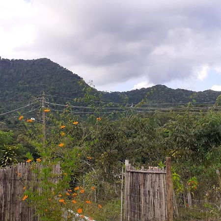 Casa Venus Villa Sao Pedro da Serra  Eksteriør billede