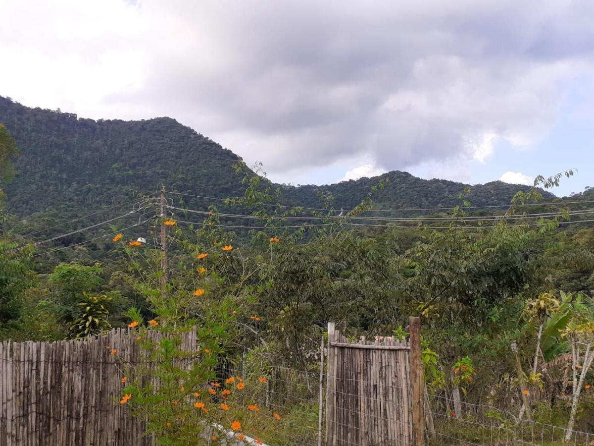 Casa Venus Villa Sao Pedro da Serra  Eksteriør billede
